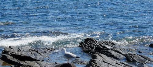 Bretagne mai 2014 (19) - Ile de Sein (3/4)