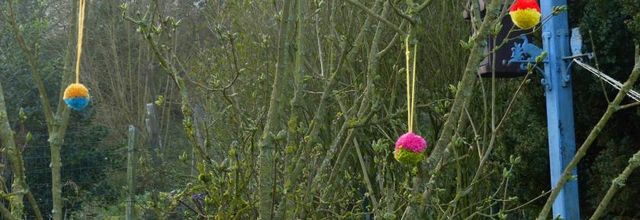 Petit à petit mon jardin prend des couleurs