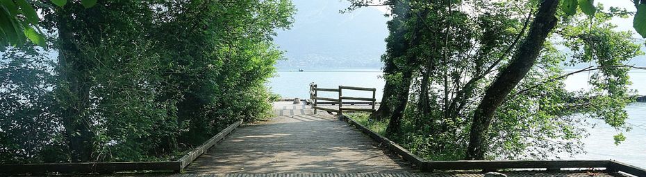 En longeant le lac d’Annecy ~ Le sentier des Roselières