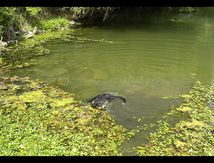 Cool, de l'eau !!!!!!