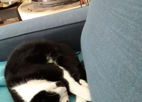 ELOGE DE LA SIESTE