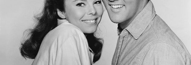 photo elvis -anne helm 