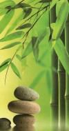 LA SAGESSE ASIATIQUE (Citations et proverbes) : Citations de Bouddha, Citations de Confucius