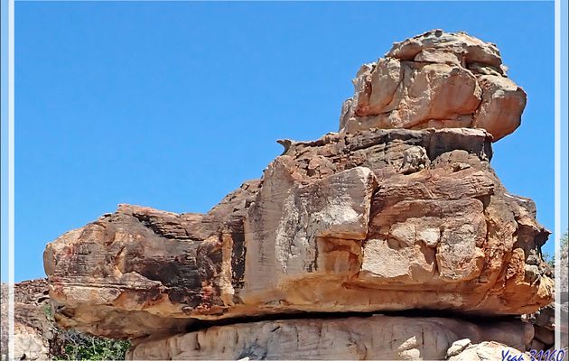 La sortie se termine en bout de plage avec de très belles formations rocheuses susceptibles de nous provoquer des paréidolies - Que devinez-vous ? - Jar Island - Vansittart bay - Wunambal Gaambera - Kimberley - Australie