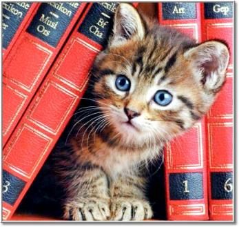 Livres lus 2018