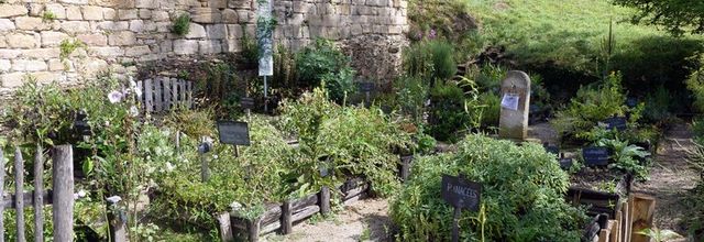 Une semaine en Dordogne : Plazac