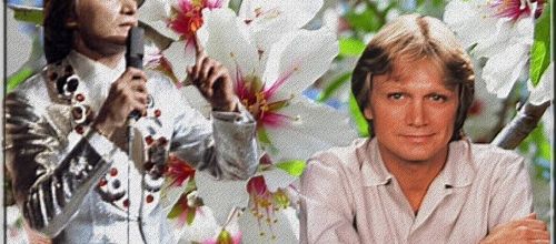 MAGNOLIA FOR EVER