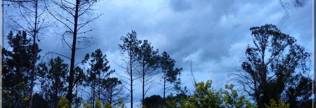 Sous un ciel gris bleu