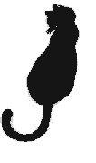 Quelques nouvelles de Zébu Chaton