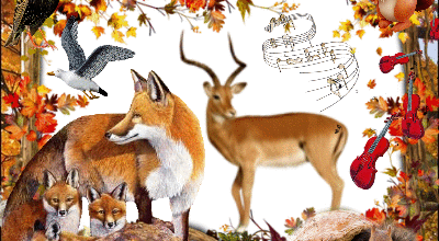 ANIMAUX NATURE AUTOMNE