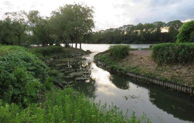 Sarrebourg en Moselle 