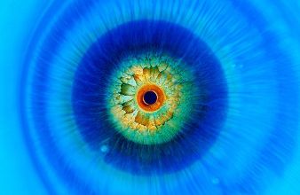 Je vous ai à l'oeil ... 