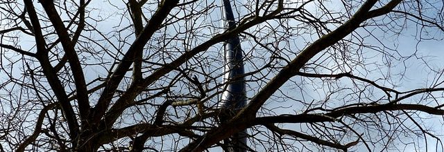 Metz / Un mardi après-midi entre amis(es) en...