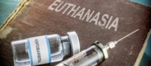 L'EUTHANASIE - Un outil démographique de choix ? - Introduction