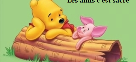 Bonne journée