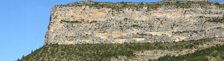Le rocher du Caire et les vautours