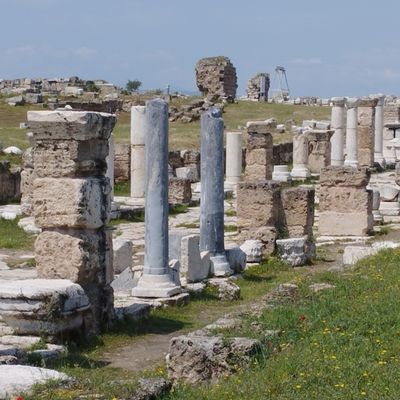 LAODICÉE DU LYCOS