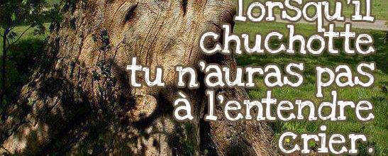 Sagesse du corps