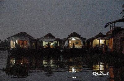 Inde du Sud (12) Backwaters Allepey-Cochin (1)