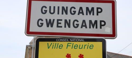 GUINGAMP (1/3)