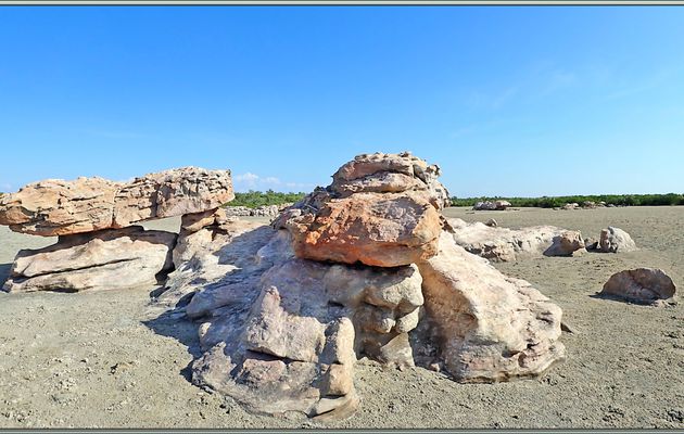 Retour vers la plage afin de repartir sur le navire, avec quelques photos supplémentaires dont des fourmis à abdomen vert - Vansittart bay - Wunambal Gaambera - Kimberley - Australie