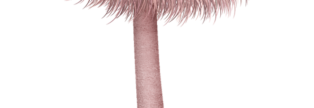 ѼVegetation