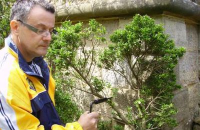 Mr Fagioli a confirmé  la présence d'un petit coffret dans l'angle nord de la Tour Magdala, en mai 2009.(André Galaup)