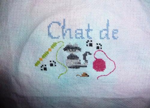 SAL mystère chez Steffy
