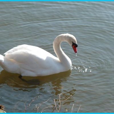 Belle balade avec mes filles