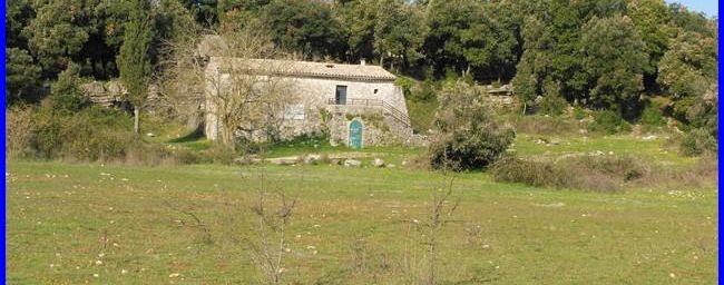 Forêt des Morières, le puits des Bidoufles