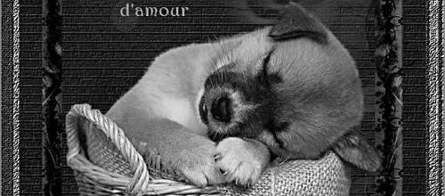Mon bébé d'amour ....