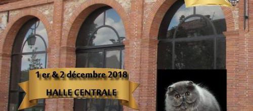 Expositions de Décembre : 