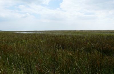 La réserve naturelle de la Belle-Henriette est enfin créée.