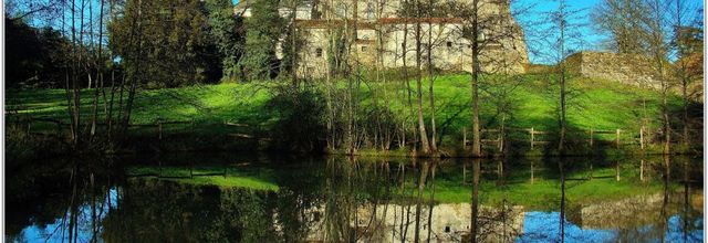 85 . Vendée - La Chaize le Vicomte (21) - Vallée Verte