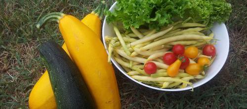 Le vrai goût des légumes