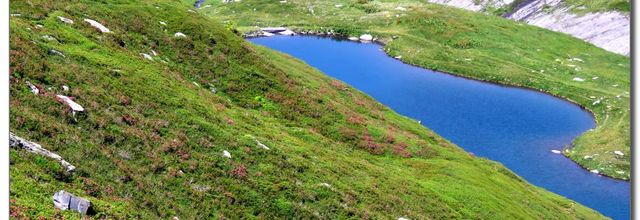 LE  COL  DU  PETIT  SAINT  BERNARD  No 3 