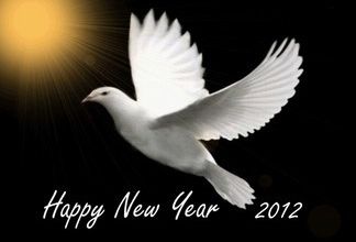 Happy New Year, Bonne Année 2012