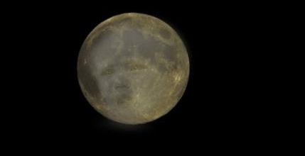 Tête de lune