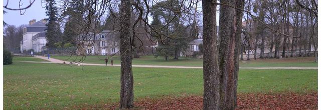 Rambouillet : L'hiver de Vincent Muselli