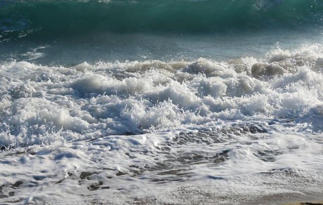 Cannes le bord de mer (06) -5