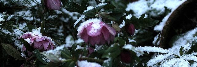 Un hiver express