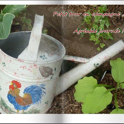 Plante vertueuse "l'ortie" !