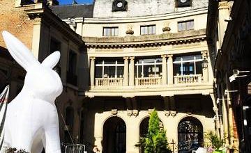 Le lapinou du jour 