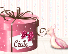 117 Boîte cadeau 07