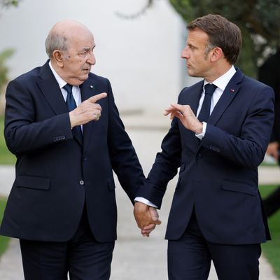 Ne sont-ils pas mignons ?