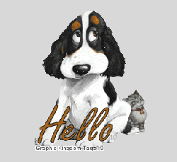 SAL "Black Stars 2022" MONTAGE terminé