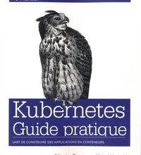 Téléchargement gratuit en ligne de livres électroniques pdf Kubernetes  - Guide pratique par Sébastien Goasguen, Michaël Hausenblas 9782412049648 (French Edition) iBook