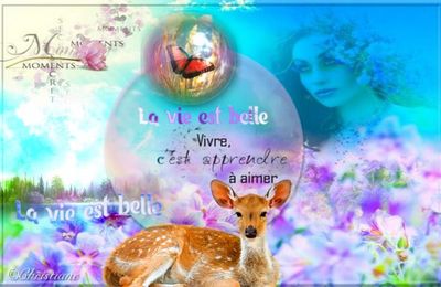 La vie est belle 