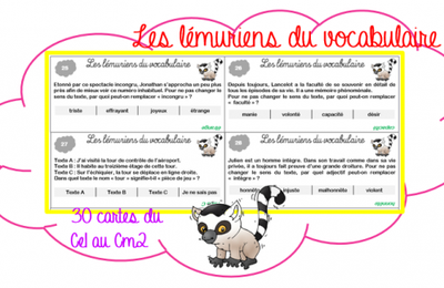 Les lémuriens du vocabulaire
