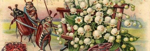 Muguet porte bonheur ...
